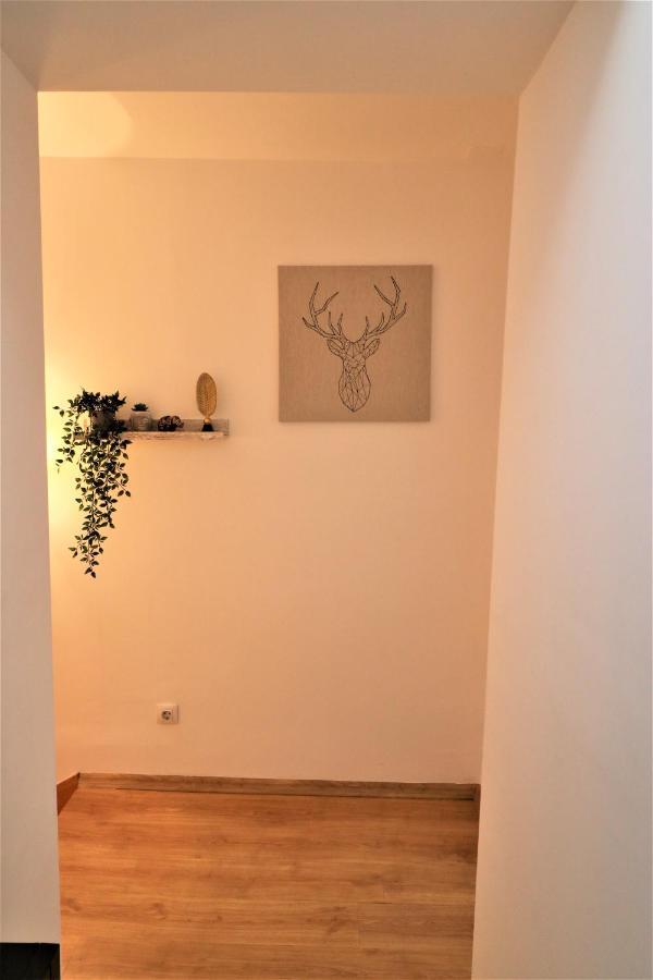 Cozy Old Town Apartment - Free Minibar Bukareszt Zewnętrze zdjęcie